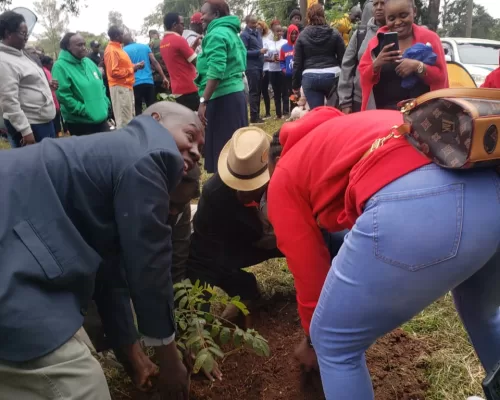 Tree Planting